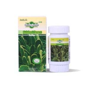 HOODIA GORDONII KALAHARI DESERT SLIMMING CAPSULES IN DUBAI